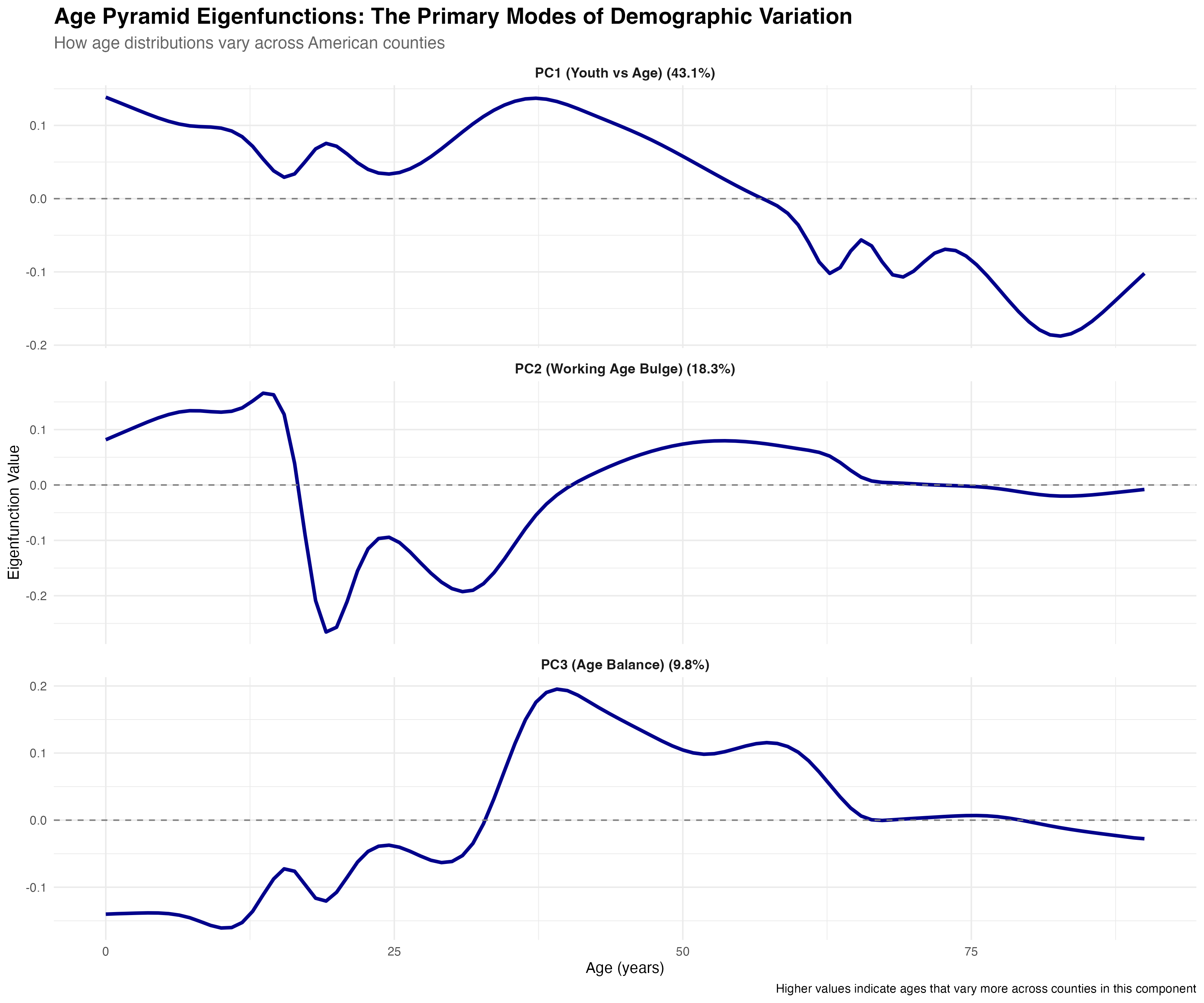 The three primary eigenfunctions reveal how counties differ in their age pyramid shapes
